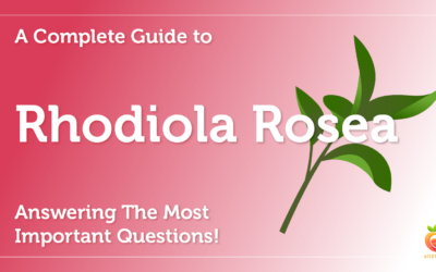 Rhodiola Rosea: A Complete Guide To Rhodiola Rosea Answering The Most Important Questions!