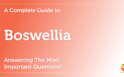 Boswellia: A Complete Guide To Boswellia Answering The Most Important Questions!