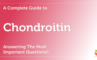 Chondroitin: A Complete Guide To Chondroitin Answering The Most Important Questions!