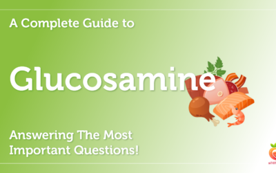 Glucosamine: A Complete Guide To Glucosamine Answering The Most Important Questions!